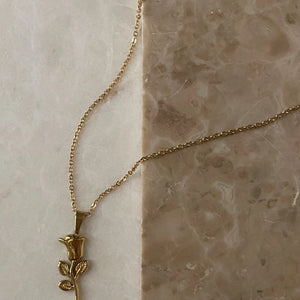 Rose Pendant Necklace on granite Background